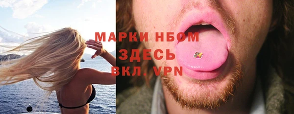 ГАЛЛЮЦИНОГЕННЫЕ ГРИБЫ Щучье