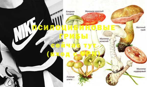 каннабис Зеленокумск