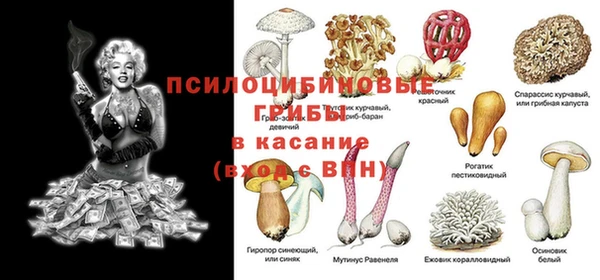винт Зерноград