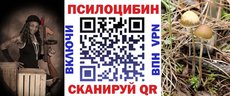 где продают наркотики  Саянск  OMG ссылки  Псилоцибиновые грибы Psilocybe 