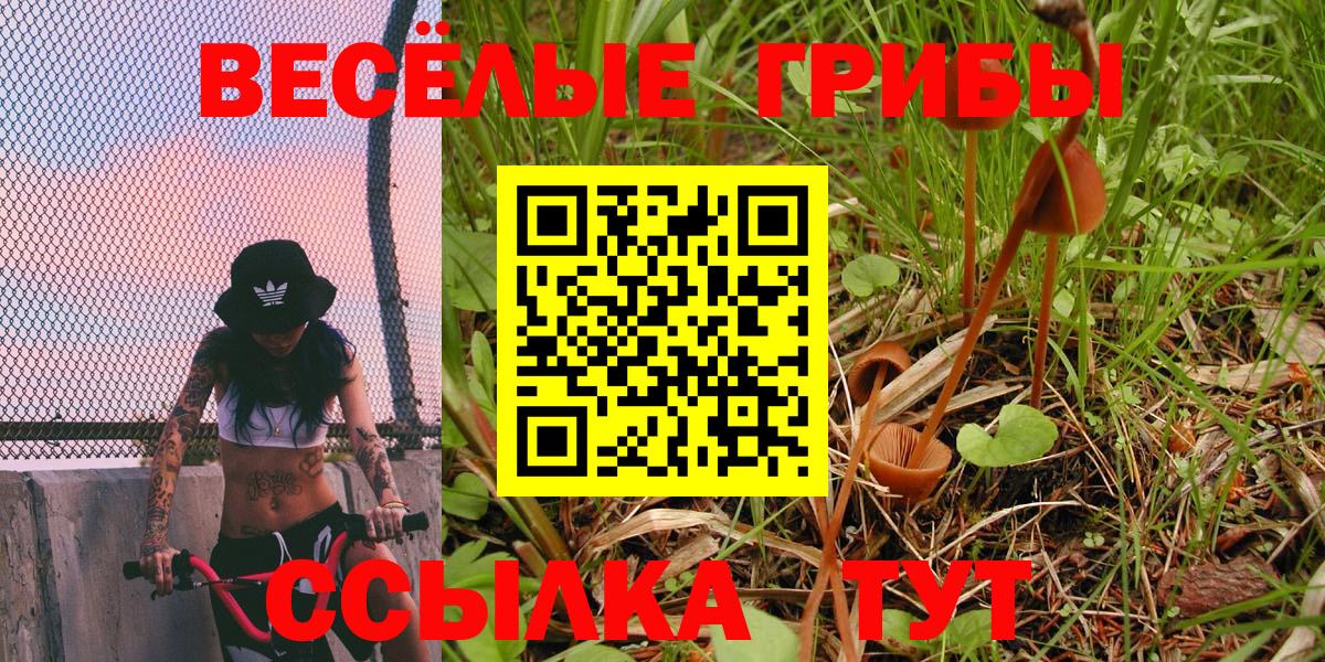 Каннабис Саянск