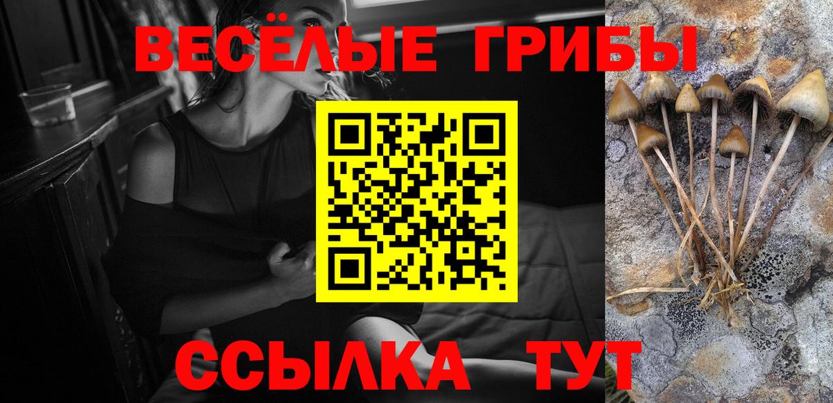 Псилоцибиновые грибы Cubensis  Вход с VPN  Саянск 